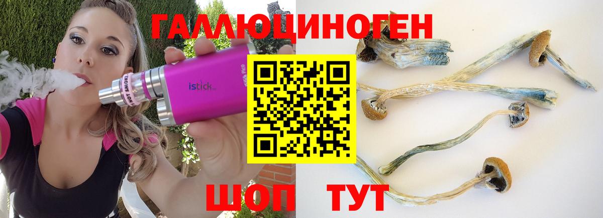 Иваново  Псилоцибиновые грибы мухоморы  Галлюциногенные грибы прущие грибы  Вход с VPN 